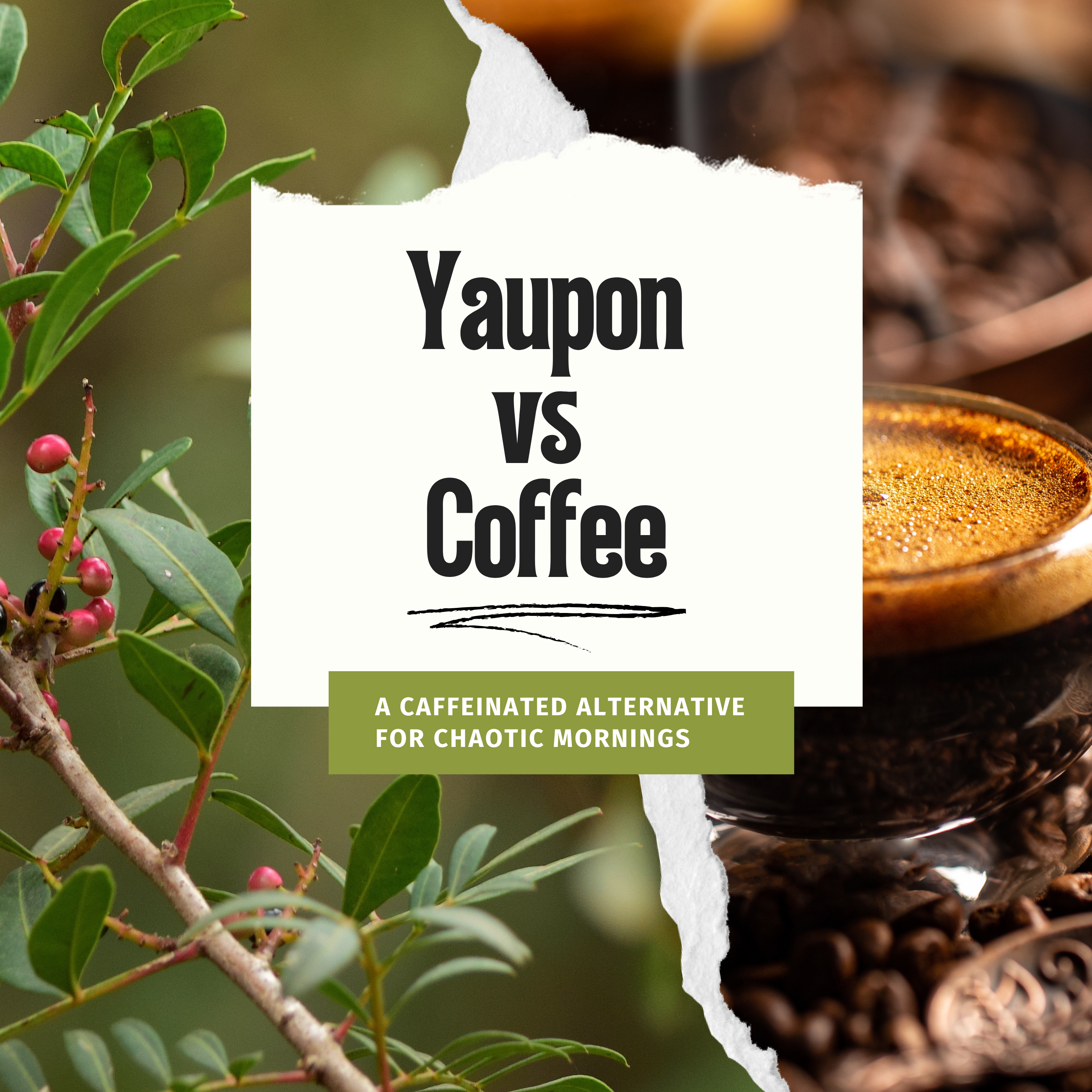 Yaupon Tea vs. Coffee: A Caffeinated Alternative for Chaotic Mornings
